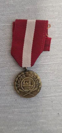 Original Amerikansk miniture medalje