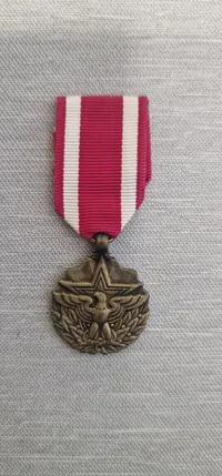Original Amerikansk miniture medalje