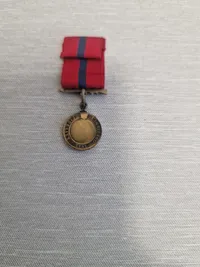 Original Amerikansk miniture medalje