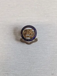 original pin livsvarigt medlem af The Buffs, givet til Dansker der var i Allieret tjeneste under WW2