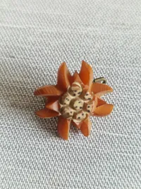 Original Edelweis broche - ww2