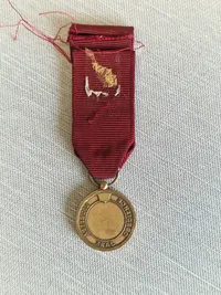 Original amerikansk miniature medalje