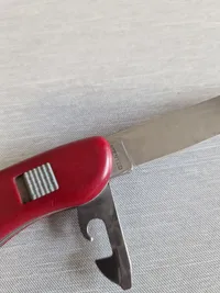 Victorinox foldekniv