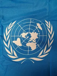 Originalt UN flag