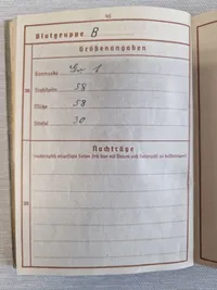 Originalt lot fra Tysk panserjæger der faldt i Rusland WW2