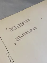 Sjælden planche med grønlandske påklædningsdukker