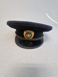 Original dansk politikasket