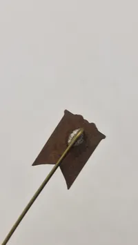 Danmark/nordtyskland pin. Original