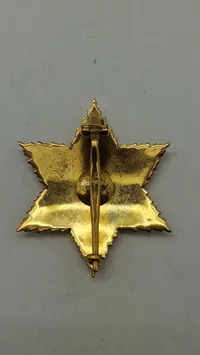 bryststjerne fra den tyske fortjenstorden, specifikt Bundesverdienstkreuz (Forbundsrepublikken Tysklands Fortjenstorden) 800 sølv lavet hos Steinhauer & Luck. Original
