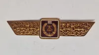 Tysk DDR) klassificeringsbadge for den nationale folkearmé (NVA). Original