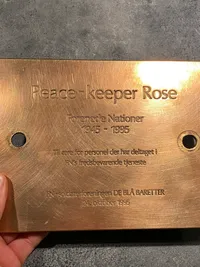 Originalt FN skilt “peace keeper rose”