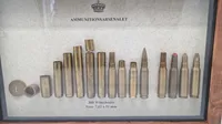 Display Ammunitionsarsenalet Trækstadier for 308. Winchester Nato 
7,62 x 51 mm samt løspatron. 32 x 20 Cm