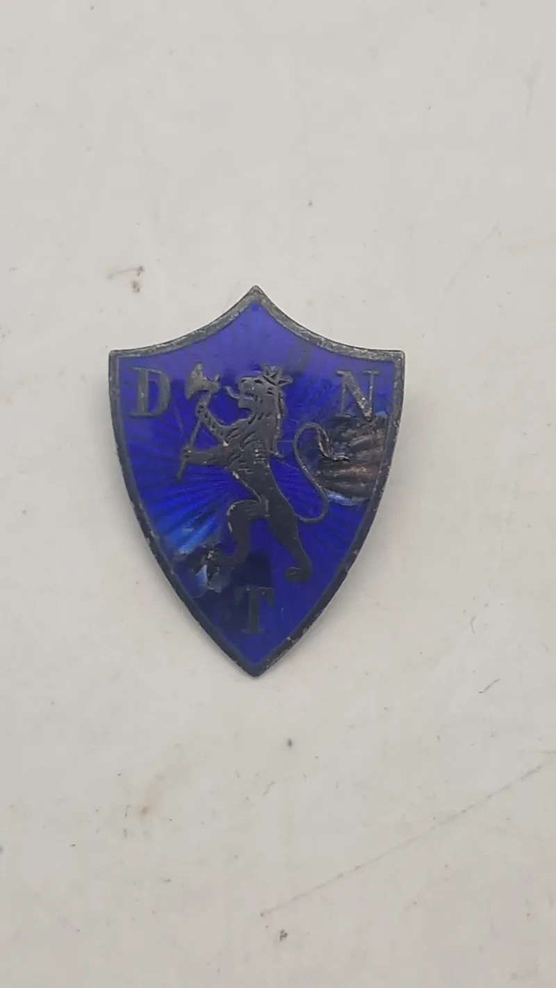 Emalje pin med rigsløve
