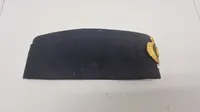 Skråhue fra det danske politi