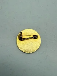 Nynazistisk pin