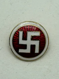 D.N.A.S.A.P. pin fra nynazisterne i Greve,  original