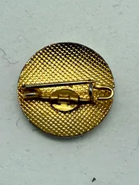 D.N.A.S.A.P. pin fra nynazisterne i Greve,  original