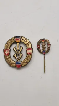 Internationaler Volkssportverband pins. Originale
