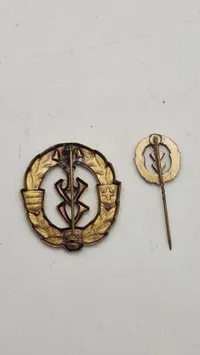 Internationaler Volkssportverband pins. Originale