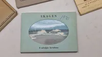 Samling souvenir fotos