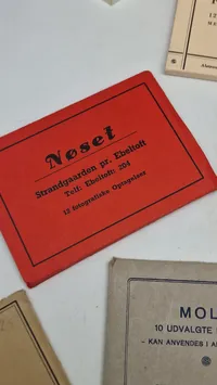 Samling souvenir fotos