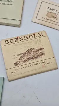 Samling souvenir fotos