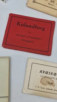 Samling souvenir fotos