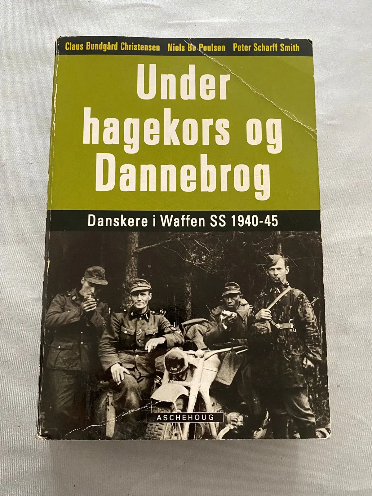 Under hagekors og dannebrog