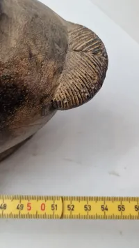 Afrikansk stamme maske