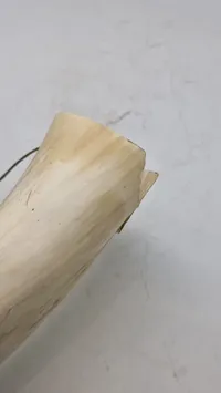 Ko horn