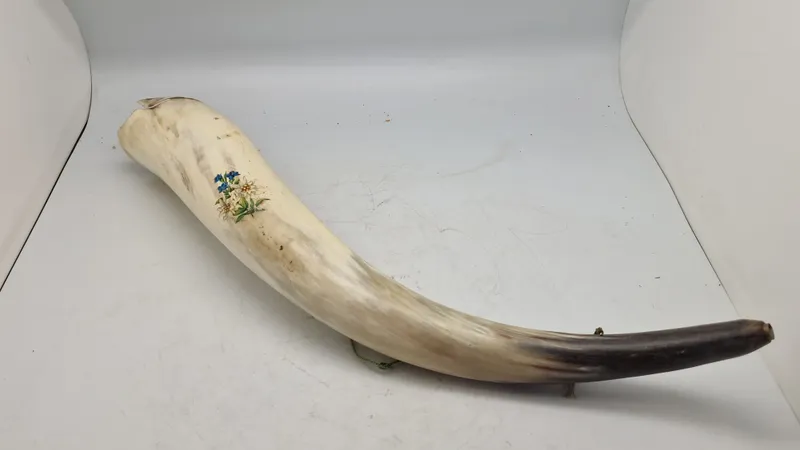 Ko horn