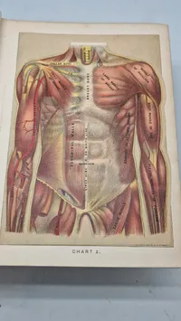 Medicology: Home Encyclopedia of Health", som er en omfattende familieguide til sundhed og medicin fra begyndelsen af 1900-tallet