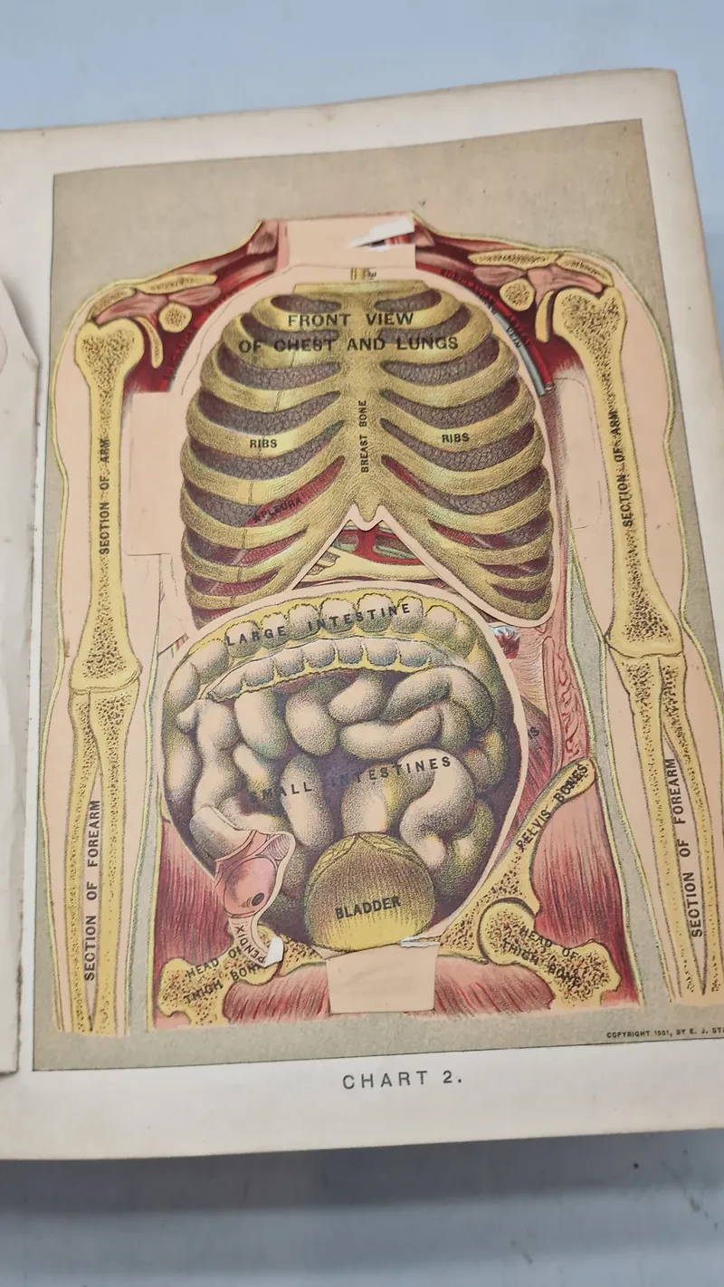 Medicology: Home Encyclopedia of Health", som er en omfattende familieguide til sundhed og medicin fra begyndelsen af 1900-tallet