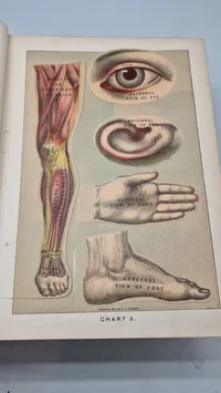 Medicology: Home Encyclopedia of Health", som er en omfattende familieguide til sundhed og medicin fra begyndelsen af 1900-tallet