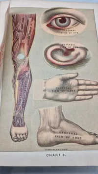 Medicology: Home Encyclopedia of Health", som er en omfattende familieguide til sundhed og medicin fra begyndelsen af 1900-tallet