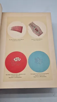 Medicology: Home Encyclopedia of Health", som er en omfattende familieguide til sundhed og medicin fra begyndelsen af 1900-tallet