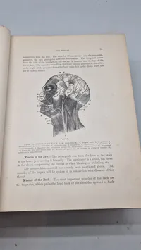 Medicology: Home Encyclopedia of Health", som er en omfattende familieguide til sundhed og medicin fra begyndelsen af 1900-tallet