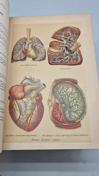 Medicology: Home Encyclopedia of Health", som er en omfattende familieguide til sundhed og medicin fra begyndelsen af 1900-tallet
