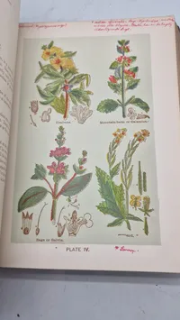 Medicology: Home Encyclopedia of Health", som er en omfattende familieguide til sundhed og medicin fra begyndelsen af 1900-tallet