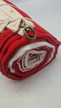 Ældre Dannebrogs flag