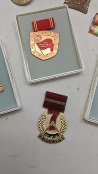 Samling medaljer og pins
