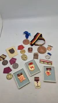 Samling medaljer og pins