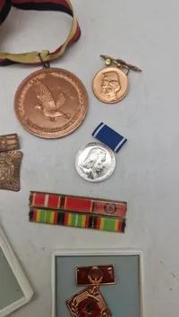 Samling medaljer og pins