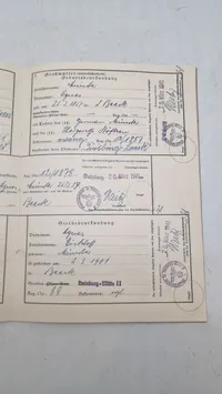 Tysk Ahnenpaß fra ww2. Original
