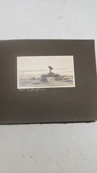 Tysk fotoalbum