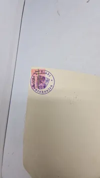 Tysk Ahnenpaß, ww2. Original