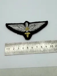 Pakistan pilot vinge. Original