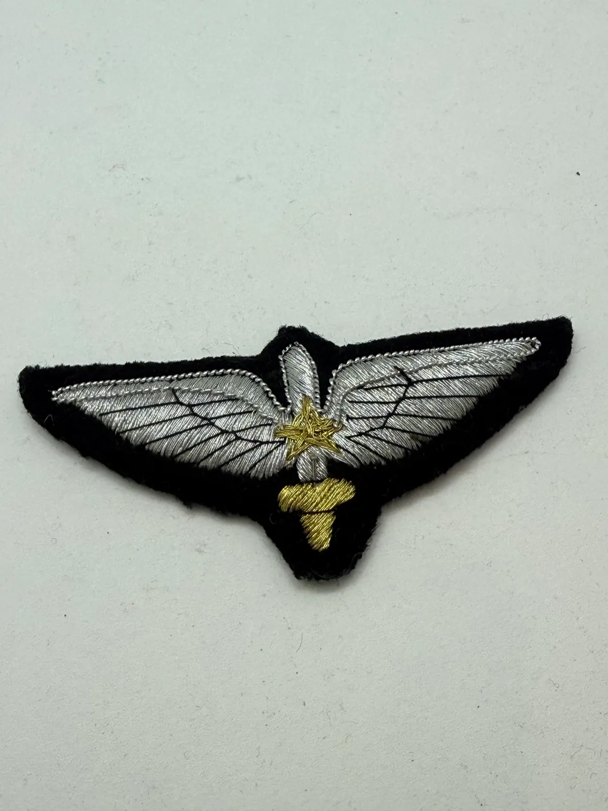 Pakistan pilot vinge. Original