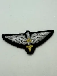 Pakistan pilot vinge. Original
