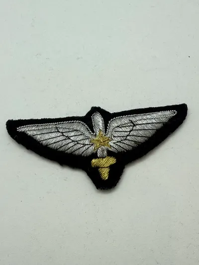 Pakistan pilot vinge. Original